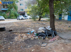 Что скрывается в волжском мусоре? 