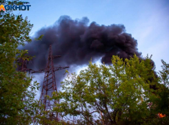 Стала известна причина пожара в дачном сообществе под Волжским