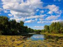 В Астрахани обсуждают проблему обводнения Волго-Ахтубинской поймы