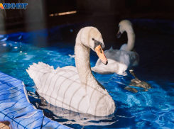 Пятница порадует волжан солнечной погодой