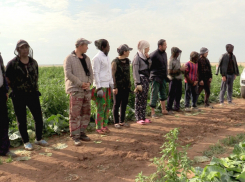 В Волжском иммигрантов больше не будет: итоги профилактической операции «Нелегал-2023»