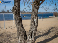 Небольшой дождь пройдет в воскресенье в Волжском