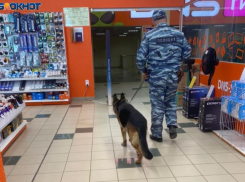 Полиция и кинологи исследуют ЦУМ в Волжском 
