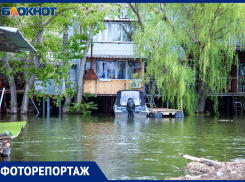 Волжский затопило во время разлива Ахтубы: фото