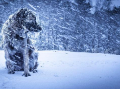 В Волгоградскую область придут морозы до -25, снегопады и метели