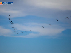 В субботу 26 октября категорически нельзя брать в долг: приметы