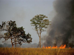 Под Волжским неизвестные сожгли запас сена на зиму