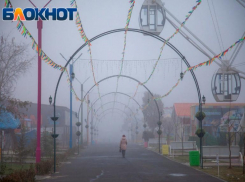 Дождливый вторник помешает охоте на кракозябр в Волжском