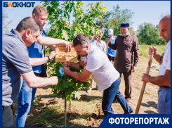 Без масок и в объятиях: в парке «Волжский» заложили аллею Дружбы
