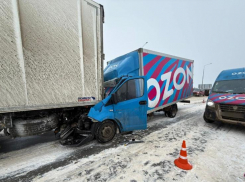 Водитель «Озон» попал в ДТП на трассе Волгоградской области
