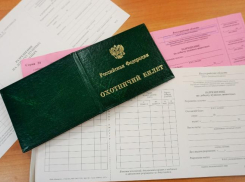 В Волгоградской области открывают охоту на барсука