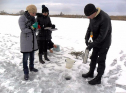 Волжские преподаватели примут участие в гидрологическом мониторинге ериков и озер Волго-Ахтубинской поймы