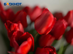 Как Волжский обогнал Петра I и подарил скифам символ любви