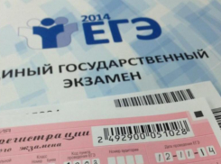 Родители волжских школьников сдадут ЕГЭ в школе №18