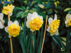 В понедельник волжане готовы свернуть горы: астрологический прогноз