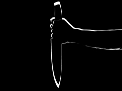 Мужчина убил возлюбленную на глазах ее 5-летней дочери в Волгоградской области