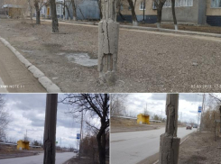 Трескаются и оголяют арматуру опоры освещения в Волжском