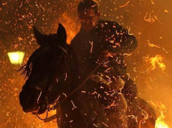 Животные сгорели в ночном пожаре в Волжском