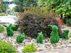 Что делать, чтобы избежать 33 бед: приметы предков