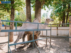Понедельник продолжит серию жарких дней в Волжском