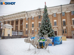 Ботанический сад приглашает волжан принять участие в онлайн конкурсе