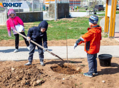 «Эта территория… нуждалась в озеленении»: в Волжском прошел очередной субботник 