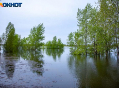 Кого лучше не злить в Волжском в пятницу 