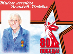 Волжский чествует героев: ветерану Александру Федяшину присвоено звание «Почетный гражданин»