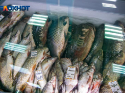 Какие паразиты встречаются в пресноводной рыбе и как они могут навредить здоровью волжан?