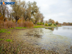 Пасмурная суббота ждет волжан: прогноз погоды