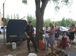 Могли заразить волжан инфекцией: штраф в 530 тысяч рублей выписали нелегальным продавцам 