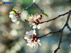 Адское пекло придет в Волжский 5 июня