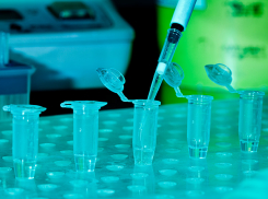 Волжане могут пройти ПЦР-тест на COVID-19 по предзаказу в «Гемотесте» 