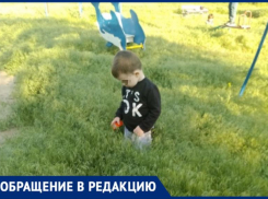 Дети делят площадку с клещами: УК «МПЖХ» игнорируют просьбы волжан покосить траву