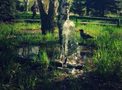 Волжан просят не заниматься самостоятельно поливными работами