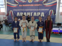 «Открытый ковер по дзюдо «Кодокан» прошел в Волжском