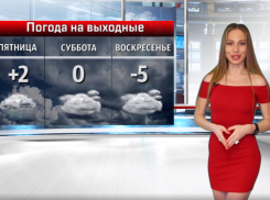 В День эрудита в Волжском будет пасмурно: прогноз погоды