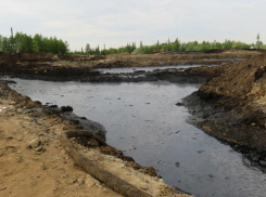 В Волжском обнаружили загрязненную почву нефтепродуктами