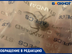 «Повылезали!» - волжанку начали терроризировать пауки