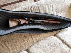 Подстрелил лося: волгоградцу грозит 2 года за незаконную охоту