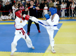 «Ваши победы – это яркое отражение наследия»: Волжская городская Дума присутствовала на ежегодном турнире по рукопашному бою