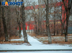 Пасмурную среду спрогнозировали волжанам