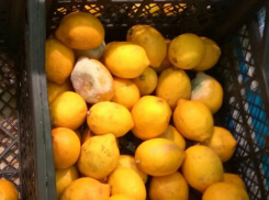 Гнилые и заплесневевшие лимоны продавали в «Магните» в Волжском под видом свежих 