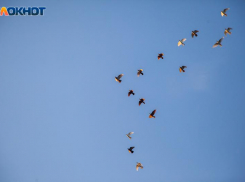 Понедельник в Волжском будет пасмурным: прогноз погоды