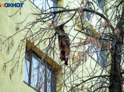 В Волжском из окна второго этажа выпал 4-летний ребенок