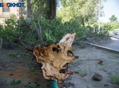 Обзор разрушений от ветра в Волжском: видео