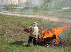 Штраф до 4000 рублей грозит волжанам, которые будут сжигать листву и мусор на своих дачах