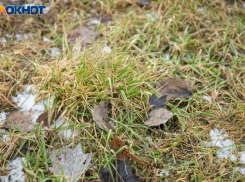 Что нельзя делать волжанам в день Василия Капельника