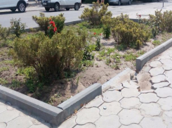 Вандалы разрушили клумбу, которую только этой весной сделали в центре Волжского