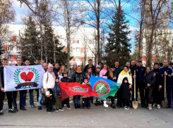 Осенний месячник по благоустройству продлили в Волжском